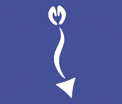 Lic. Matías Bruera Logo